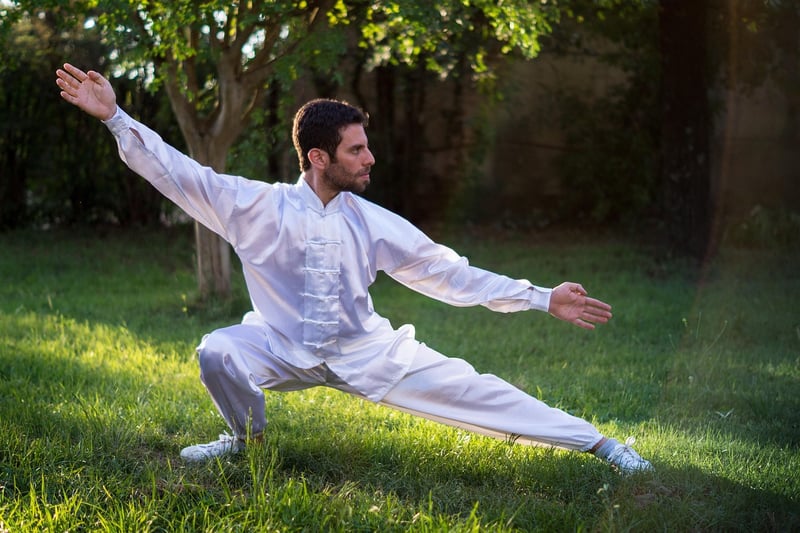 Tai Chi for Peace Image